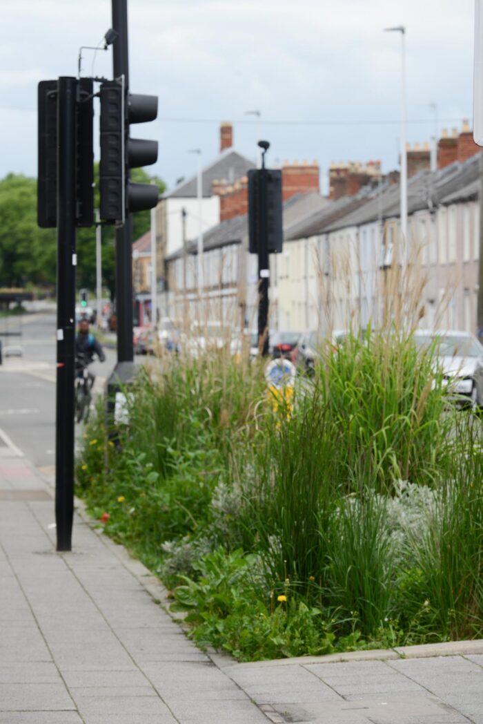 Cathys Terrace cycle lanes, regreening street planting areas.